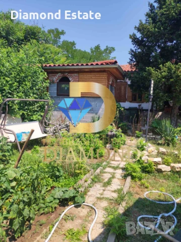 Къща в село Златна ливада, общ. Чирпан, снимка 3 - Къщи - 50958980