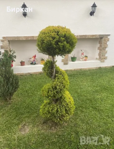 Косене и Поддръжка на дворове, снимка 7 - Други - 49991759