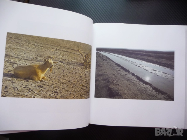 Всичколюбец Николай Ненов фотограф албум снимки фотографии голо тяло портрети пейзажи актова живял р, снимка 7 - Българска литература - 52976977