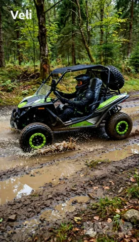 UTV-250cc с лебедка и теглич , снимка 9 - Мотоциклети и мототехника - 55713290