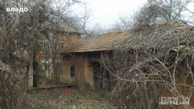 Осиково дворно място с къща, снимка 2 - Къщи - 35534250