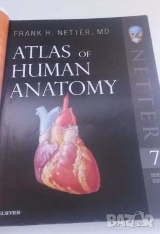 Атлас по анатомия - Atlas of Human Anatomy - Frank H. Netter, MD, 7-мо издание, снимка 7 - Учебници, учебни тетрадки - 54084472