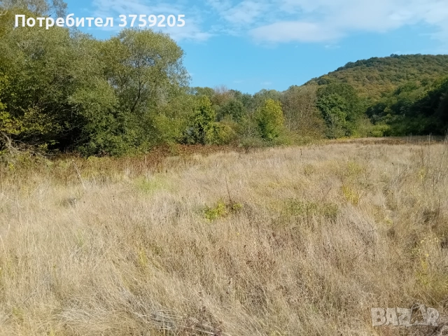 Продавам горска нива 15 дка., снимка 3 - Парцели - 52266192
