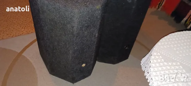 Тонколони 10 инча , снимка 6 - Тонколони - 49340582