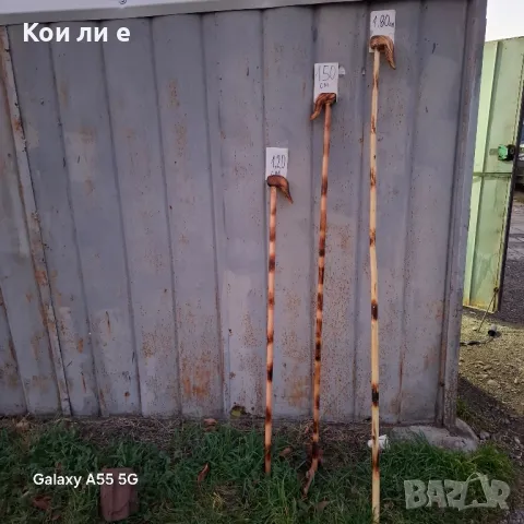 геги кривци за коледуване 