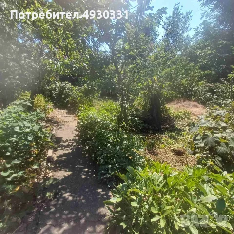 ПРОДАВА СЕ ДВОР 700 кв.м. С ЕДНОЕТАЖНА КЪЩА С. СОКОЛ, ОБЩ. ГЛАВИНИЦА, ОБЛ. СИЛИСТРА- 7000Е с възможн, снимка 5 - Къщи - 55808175