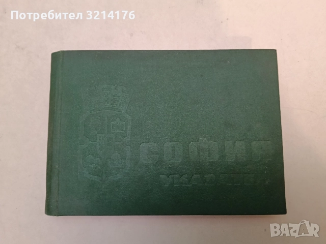 Речник на селищата и селищните имена в България 1878-1987 -  Николай Мичев, Петър Коледаров , снимка 2 - Специализирана литература - 52391902