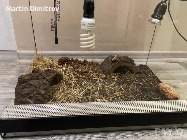 Терариум, оборудван, снимка 3 - Терариуми и оборудване - 52787338