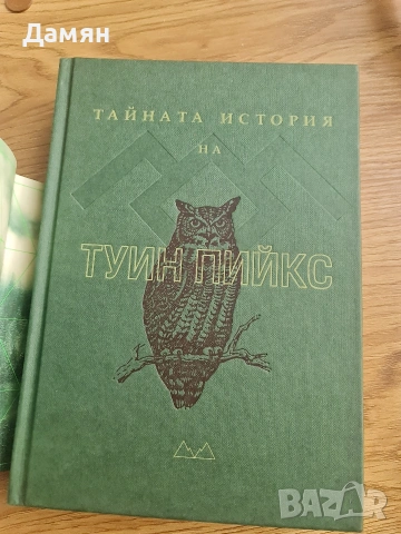 Тайната история на Туин Рийкс , снимка 2 - Художествена литература - 53323350