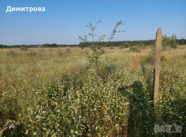 Земеделска земя 10 дка, снимка 6 - Земеделска земя - 55810140