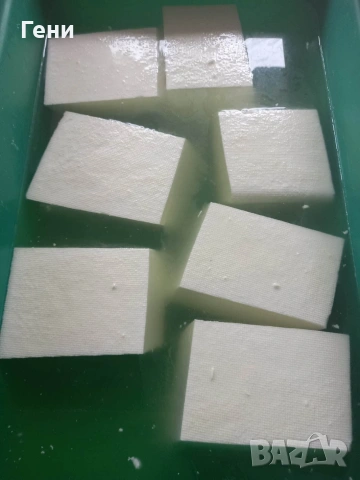 Домашно овче сирене , снимка 3 - Други - 54319342