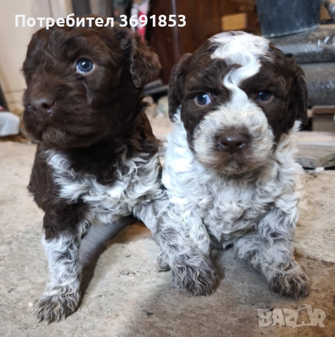 Лагото Романьоло, снимка 2 - Други - 53235315