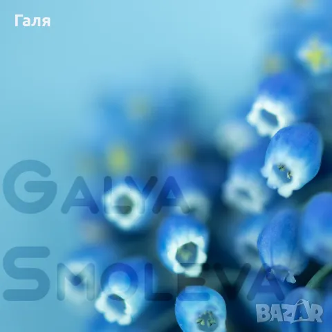 Авторска фотография - Нежност , снимка 2 - Картини - 48940594