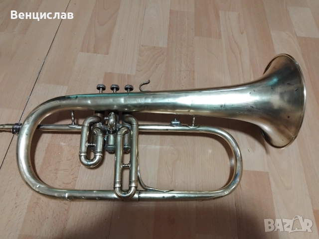 Уникална флигорна 