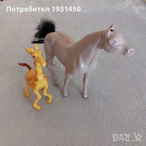 кон и жираф