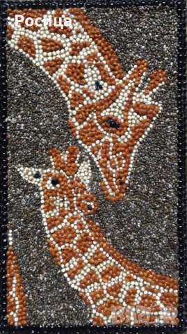 Картини от семена , снимка 6 - Ръчно изработени сувенири - 37057979