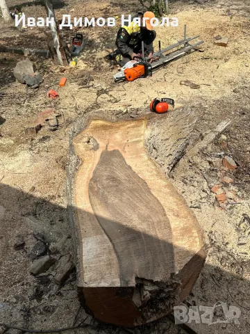 Продавам сухи янове от орех, снимка 8 - Маси - 48068990