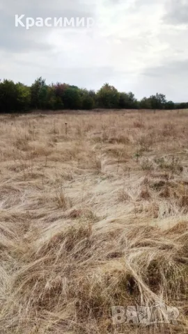 Земя, с. Баня, 6934кв.м, Иракли Вая, р. Вая

, снимка 3 - Земеделска земя - 47303072