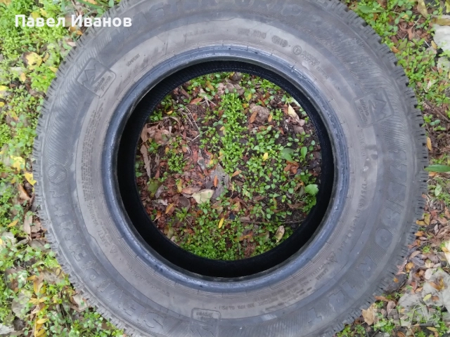 4 зимни гуми 175/80 R14 – SEMPERIT & FALKEN – ДОТ 2019–2020, снимка 3 - Гуми и джанти - 52311046