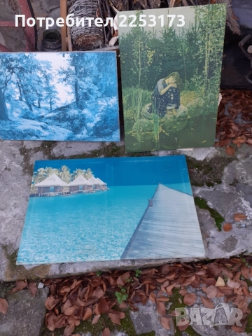 Голяма картина-ковьор за стена.Соц.картини СССР в рамки., снимка 6 - Декорация за дома - 49895559