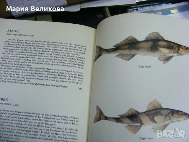 Книги на немски език, снимка 6 - Енциклопедии, справочници - 44728217