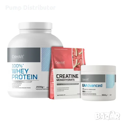 OstroVit OstroVit 100% Whey Protein | + Creatine + EAAdvanced FREE