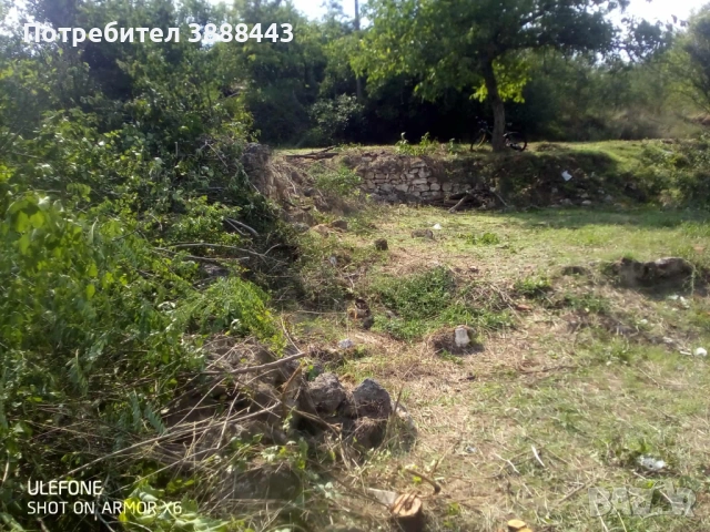 Празно дворно място , снимка 6 - Парцели - 51522743