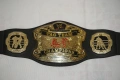 Кеч Колани Jacks Pacific Wrestling Belts WWE Tag Team Champions/WWE Hardcore Championship, снимка 13