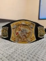 WWE Spiner Championship , снимка 3