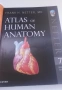 Атлас по анатомия - Atlas of Human Anatomy - Frank H. Netter, MD, 7-мо издание, снимка 7