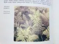 Атлас по Ботаника - Сл.Петров,Е.Паламарев - 1994г.  , снимка 4