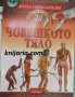 Детска Енциклопедия: Да научим повече за човешкото тяло, снимка 1 - Детски книжки - 38804695