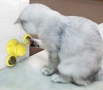 Интерактивна въртяща се играчка за котки вятърна мелница, снимка 5