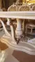 Италианска барокова трапезария , снимка 4