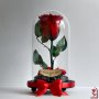 Подарък за Рожден ден на Жена / Вечна ЕСТЕСТВЕНА Роза в Стъкленица / Подарък за Мама