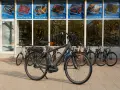 Електрически велосипед Tretwerk 28 Shimano Steps 250W Nexus 7 Magura, снимка 2