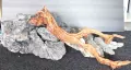 Корен WOOD WAVE №1, снимка 2
