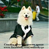 Смокинг за куче Официален костюм за куче Кучешки официални дрехи Дрехи за куче за официални поводи, снимка 6 - За кучета - 20930705