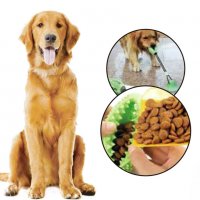 Кучешка играчка за дърпане вендуза, 46 cm, зелен, снимка 3 - За кучета - 35414239