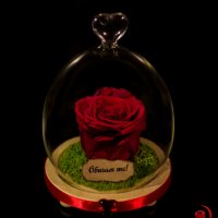 Подарък за рожден ден / Естествена Вечна Роза в Стъкленица / Уникален Подарък за Жена, снимка 6 - Други - 28122874