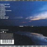 David Gray-anew day at midnight, снимка 2 - CD дискове - 37454845
