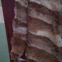 Кожено палто от заешки  кожи, снимка 5 - Палта, манта - 31057408