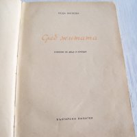 "Сред житата" стихове от Леда Милева, 1952г. луксозно издание, снимка 2 - Детски книжки - 31798613