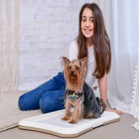 PUPPIES Премиум хигиенни подложки/памперси с активен въглен за кучета Кучешки подложки , снимка 4 - За кучета - 38861965