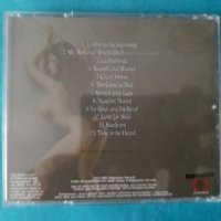 Absolute Steel – 2002 - The Fair Bitch Project (Heavy Metal,Glam), снимка 3 - CD дискове - 39122302