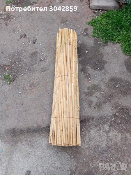 Рогозка от папрат, снимка 1