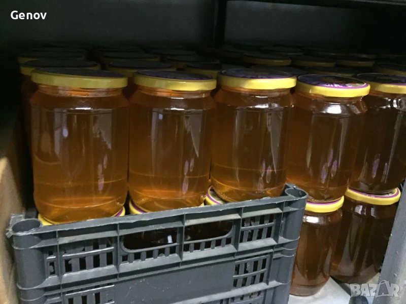 Пчелен мед от производител, снимка 1