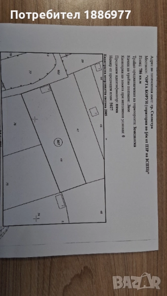 Продавам лозе гр.Силистра - от собственик, снимка 1