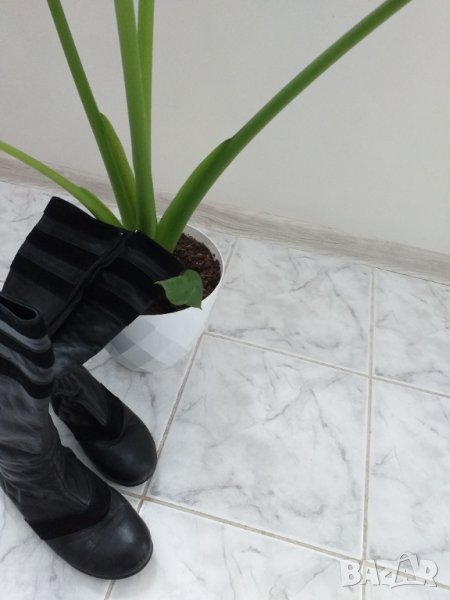 Ботуши естествена кожа , снимка 1