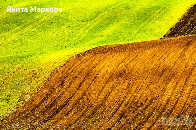 Купувам ЗЕМЕДЕЛСКА ЗЕМЯ всички землища в Община Стралджа, снимка 1